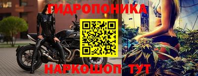 jwh Будённовск